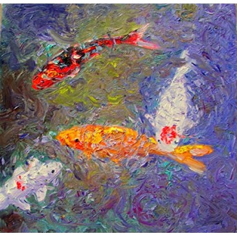 Pond Koi