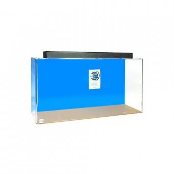 Acrylic Rectangle Aquarium 60 Gallon Blue