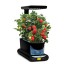 AeroGarden Sprout LED with Gourmet Herb Seed Pod Kit, Black