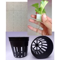 Aggreen Sponges Cubes Plugs & Mesh Basket Cups 20 EA For Hydroponics Farms