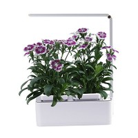 Indoor Herb Garden, AIBIS Hydroponics Watering Growing System, Organic Home Herbs Gardening Kit with Led Grow Light, Not Contain Seeds, Best for Fl...