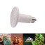 Reptile Heat Bulb Aiicioo Ceramic Heat Emitter No Harm No Light Infrared Heater Lamp White (60Watt)