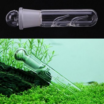 Amrka Aquarium Snail Leech Vivarium Pest Catch Trap Shrimp Worm Planaria Leech Catcher (2 Hole)