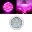 Amyove 150W 50 LED Plant Grow Light Full Spectrum Creative Supplement Lamp for Indoor Hydroponic Plant Vegetable Cultivation Horticulture Industria...