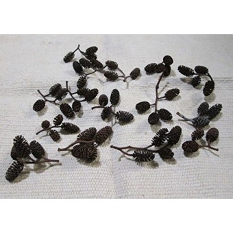 Alder Cones (50) Shrimp Aquarium Water Conditioner Promotes Breeding Invertebrates