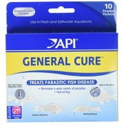 API Powder General Cure, 10 count