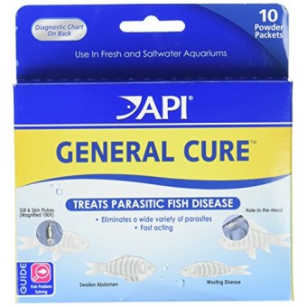 API Powder General Cure, 10 count