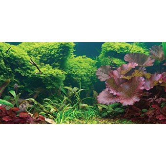 SPORN Aquarium Background, Static Cling, Tropical, 24" x 12"