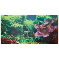 SPORN Aquarium Background, Static Cling, Tropical 36" x 18"