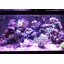AquaticHI Aquarium Tongs 27 inch (70 cm), 100% Reef Safe, Multi Purpose for Fresh and Saltwater Fish Tanks, Clip Plants, Spot Feed Fish and Coral, ...