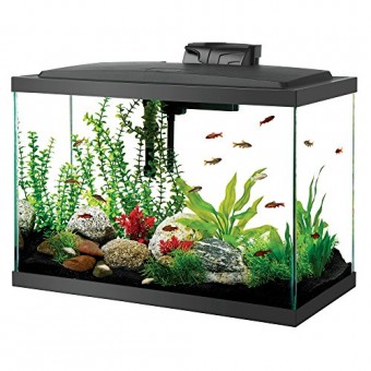 Aqueon Aquarium Fish Tank Starter Kits with LED Lighting