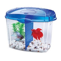 Aqueon Betta Fish Tank Starter Kit, Half Gallon, Blue