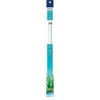 Aqueon T8 Fluorescent Replacement Aquarium Lamp, Full-Spectrum Daylight, 14-Watt, 15-inch