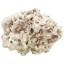 ARC Reef Dry Base Rock For Saltwater Aquariums, 10 lbs.