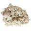 ARC Reef Dry Base Rock For Saltwater Aquariums, 10 lbs.