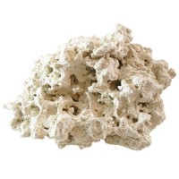 ARC Reef Dry Base Rock For Saltwater Aquariums, 10 lbs.