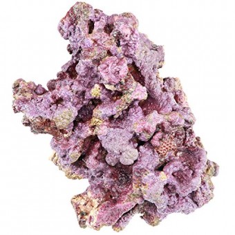 ARC Reef Premium Live Rock For Saltwater Aquariums, 45 lbs.