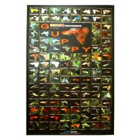 Azoo Aquarium Decor Guppy Poster