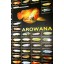 AZOO Arowana Poster