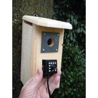 Birdhouse Spy Cam BCAMHEHD Hawk Eye HD Camera