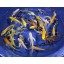 Blue Ridge Koi Grade A Butterfly Fin Koi by Live Pond Fish - Highest Quality for Aquarium and Tank, Healthy and Bio-Secure - Live Arrival Guarantee...