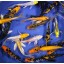 Blue Ridge Koi Grade A Butterfly Fin Koi by Live Pond Fish - Highest Quality for Aquarium and Tank, Healthy and Bio-Secure - Live Arrival Guarantee...