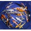 Blue Ridge Koi Grade A Standard Fin Koi by Live Pond Fish - Highest Quality for Aquarium and Tank, Healthy and Bio-Secure - Live Arrival Guarantee ...