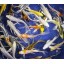 Blue Ridge Koi Grade AA Butterfly Fin Koi by Live Pond Fish - Highest Quality for Aquarium and Tank, Healthy and Bio-Secure - Live Arrival Guarante...