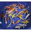 Blue Ridge Koi Grade AA Standard Fin Koi by Live Pond Fish - Highest Quality for Aquarium and Tank, Healthy and Bio-Secure - Live Arrival Guarantee...