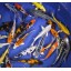 Blue Ridge Koi Grade AA Standard Fin Koi by Live Pond Fish - Highest Quality for Aquarium and Tank, Healthy and Bio-Secure - Live Arrival Guarantee...