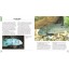 500 Freshwater Aquarium Fish: A Visual Reference to the Most Popular Species