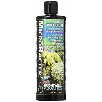 Brightwell Aquatics ABABAC500 Microbacter7 Liquid Water Conditioners for Aquarium, 17-Ounce