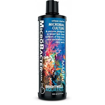 Brightwell Aquatics Microbacter Clean Water Treatments, 250ml