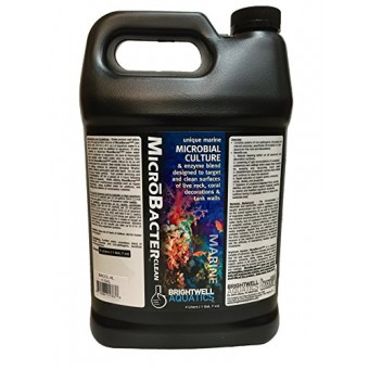 Brightwell Aquatics Microbacter Clean Water Treatments, 4 L