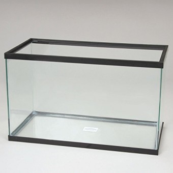 Aquarium Tank, Glass, 10 Gal