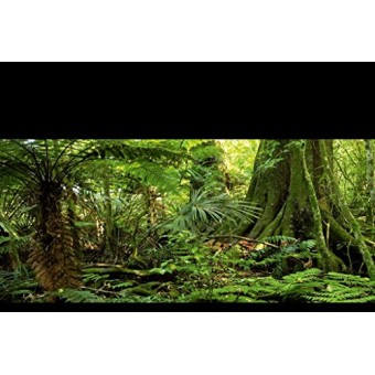 Carolina Custom Cages Reptile Habitat Background, Rain Forest, 15.75" x 36"