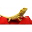 Chaise Lounge for Bearded Dragons, Red Crackle fabric