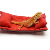 Chaise Lounge for Bearded Dragons, Red Crackle fabric