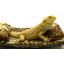 Chaise Lounge for Bearded Dragons, Safari fabric