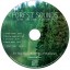 Forest Sounds: with Soft Rains & Gentle Winds (Nature Sounds, Deep Sleep Music, Meditation, Relaxation Sounds of Nature)