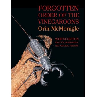 Forgotten Order of the Vinegaroons: Whipscorpion Biology, Husbandry, and Natural History