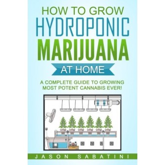 How to Grow Hydroponic Marijuana At Home: A Complete Guide to Growing Most Potent Cannabis Ever!