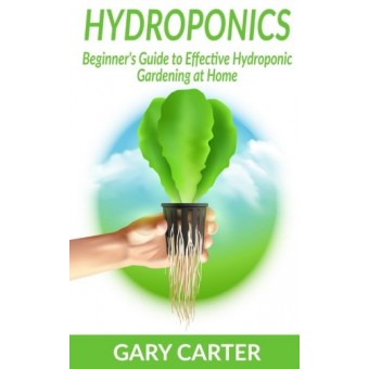 Hydroponics: Beginner’s Guide to Effective Hydroponic Gardening at Home