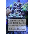 Saltwater Fish and Reef Tanks: From Beginner to Expert