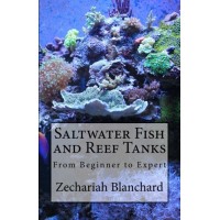 Saltwater Fish and Reef Tanks: From Beginner to Expert