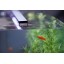 Current USA Satellite Freshwater LED Light for Aquarium, 48 to 60-Inch