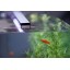 Current USA Satellite Freshwater LED Light for Aquarium, 48 to 60-Inch