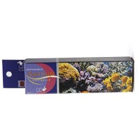 DD Aquarium Solutions Aquascape Construction Epoxy for Aquarium, Coralline Purple