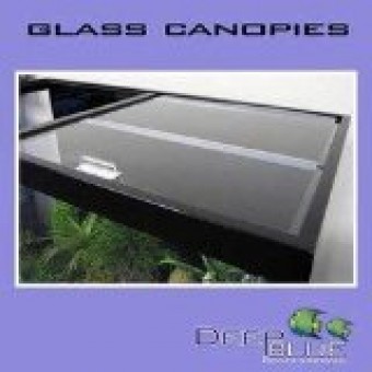 Deep Blue Professional ADB32010 Standard Glass Canopy Set, 20 by 10-Inch