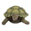 Design Toscano Gilbert the Box Turtle Garden Decor Animal Statue, 9 Inch, Polyresin, Full Color